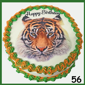 Birthday Cakes 56